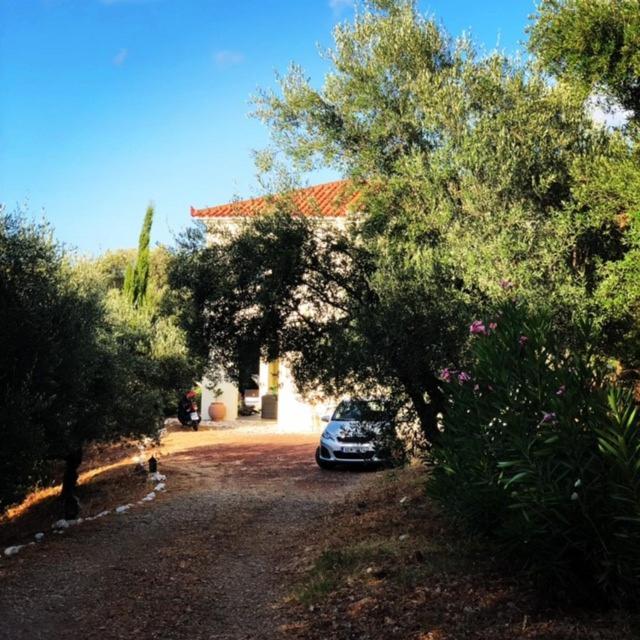 Kyparissia De Wandelboom Vakantiehuis
