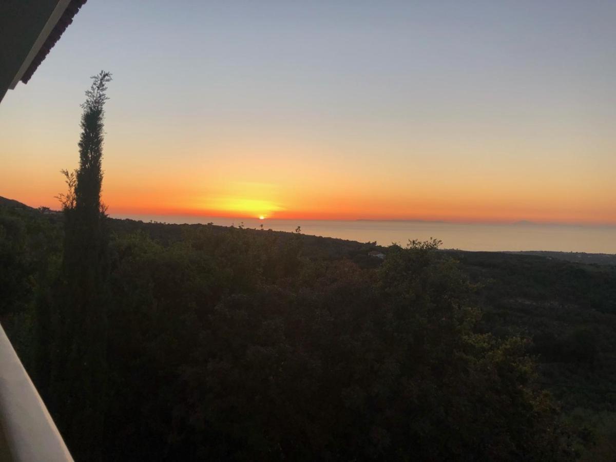 Kyparissia De Wandelboom * Vrises (Kiparissia)