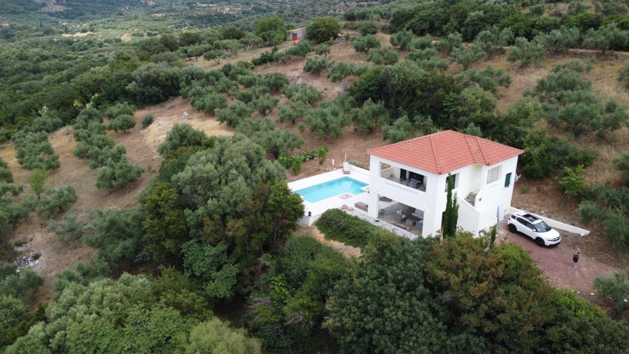 Kyparissia De Wandelboom *