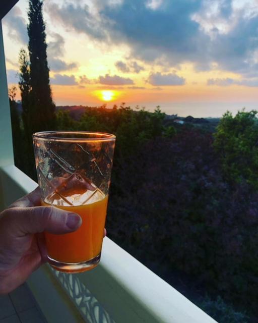 Vakantiehuis Kyparissia De Wandelboom *