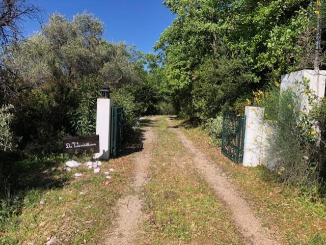 Kyparissia De Wandelboom Holiday home *